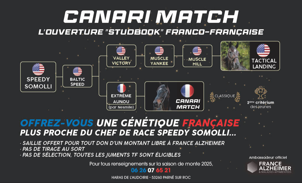 pub-canarimatch